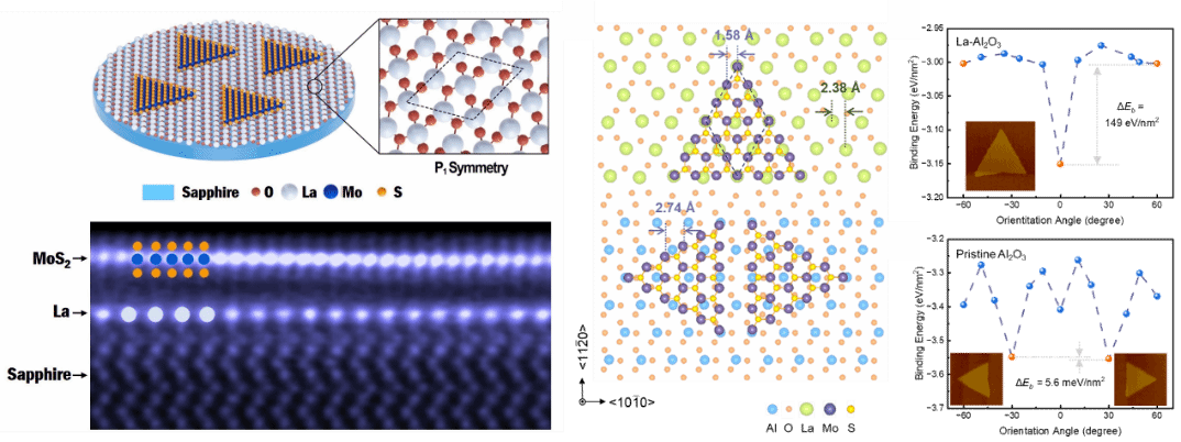 澳门太阳城官网(中国)门户网站