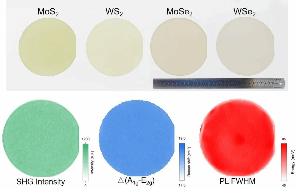 澳门太阳城官网(中国)门户网站